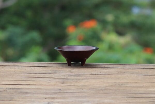insurance for kava sellers
